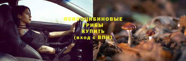 соль курить ск Алзамай